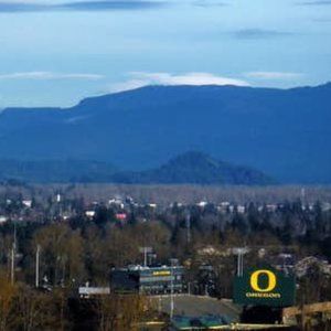 Meet your Posher, Chad